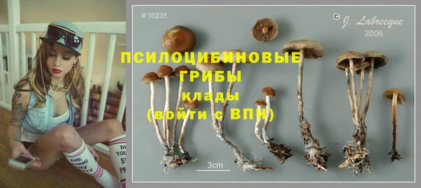 СК Коряжма
