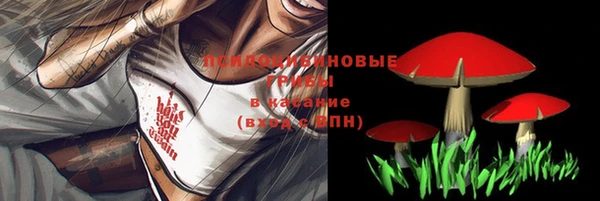 амф Костерёво