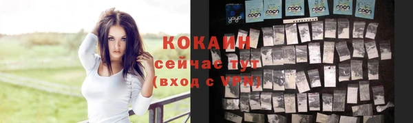 СК Коряжма