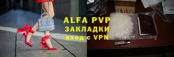 СК Коряжма