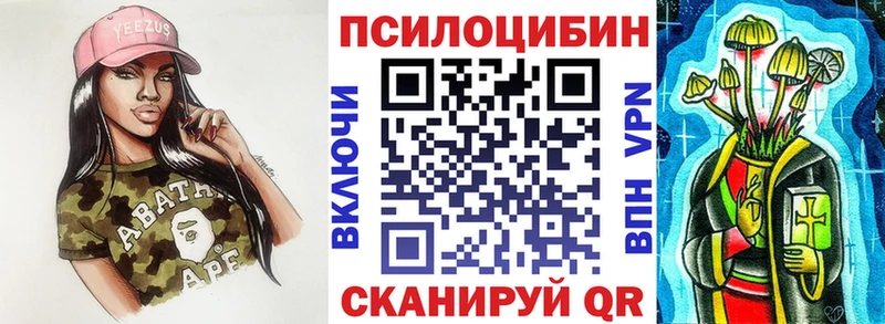 где можно купить Орск Галлюциногенные грибы Magic Shrooms