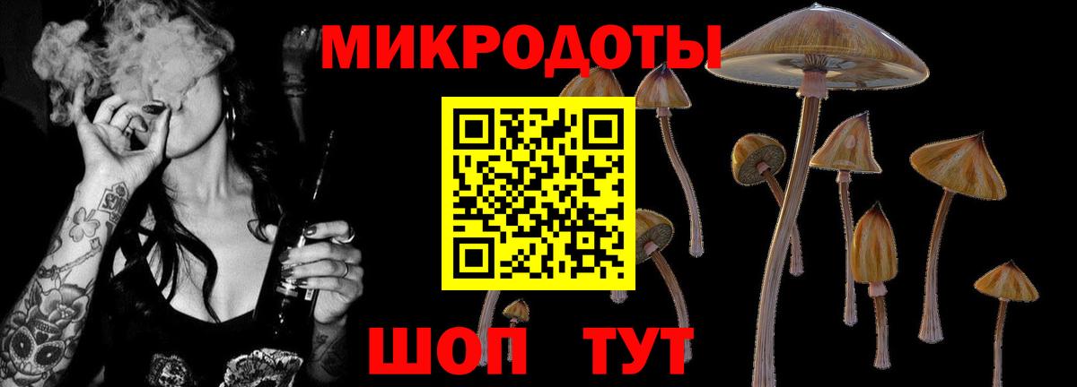 Галлюциногенные грибы Psilocybe  Вход с VPN  Псилоцибиновые грибы MAGIC MUSHROOMS  Орск 